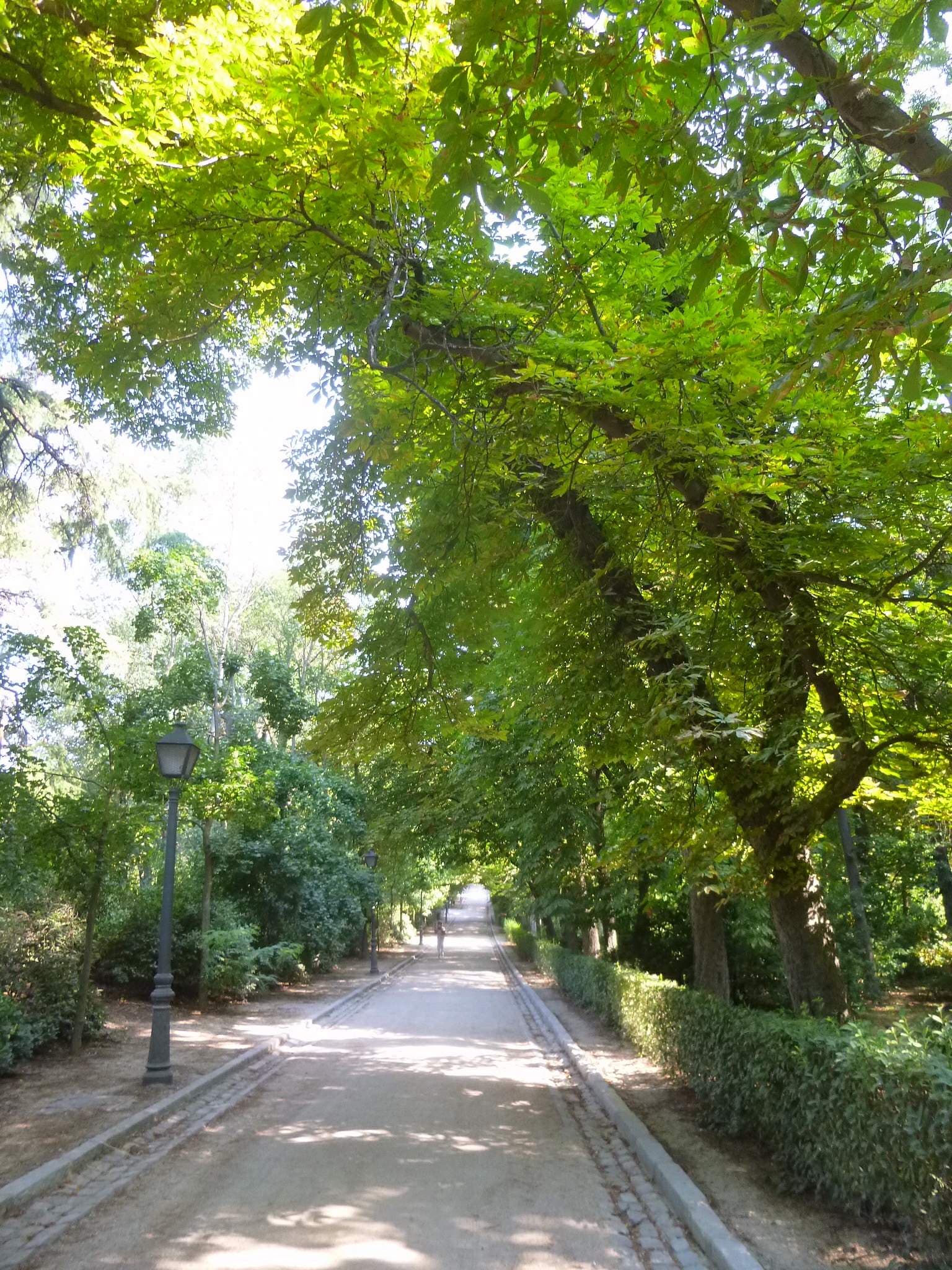 Retiro Parkı 3