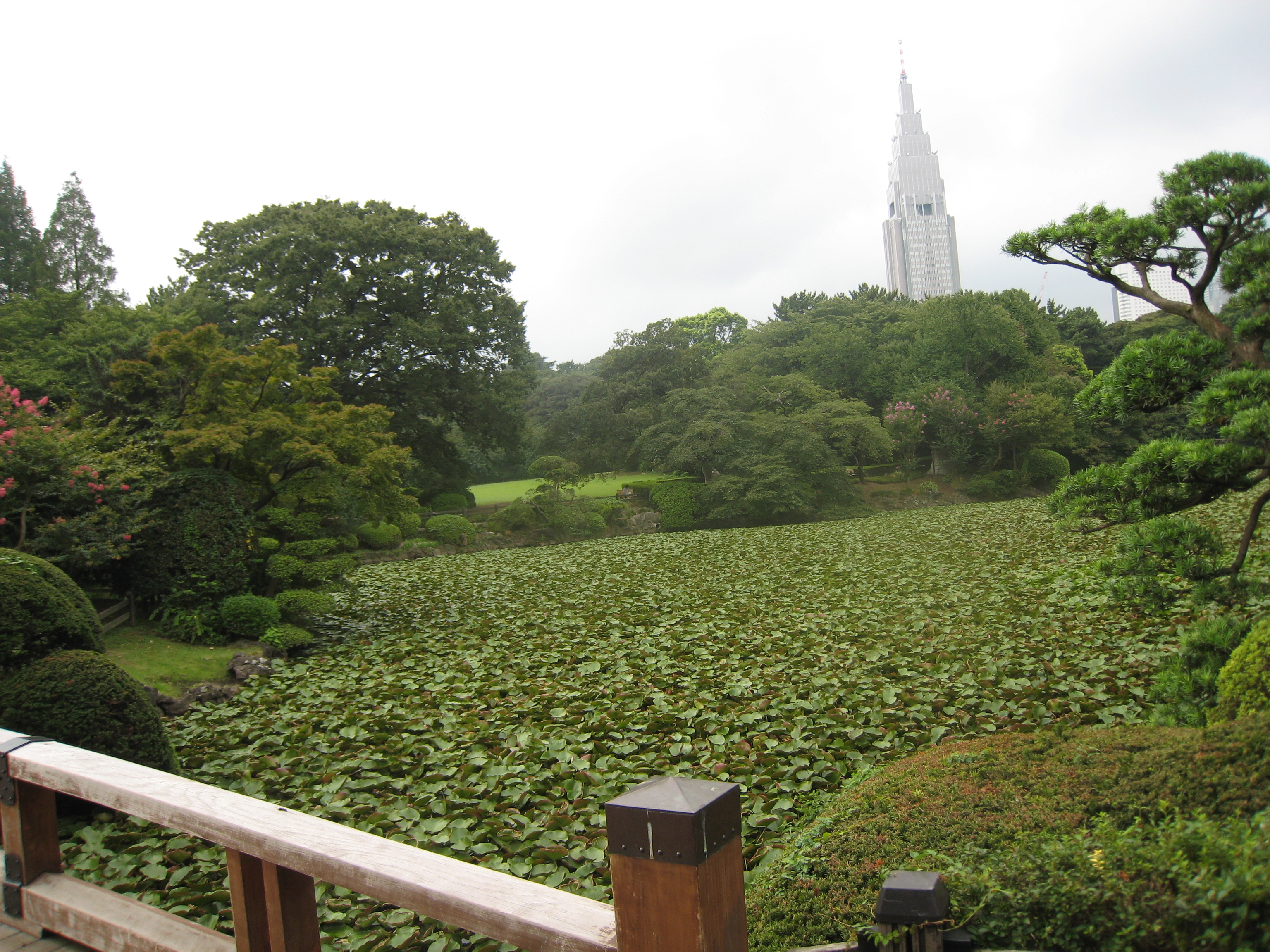 Shinjuku Gyoen Ulusal Bahçesi 3